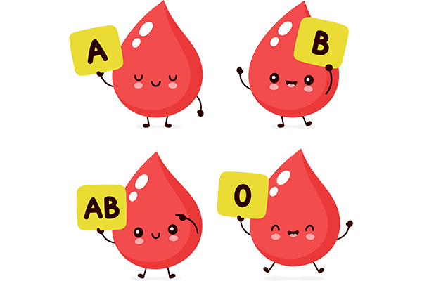 gruppo sangue